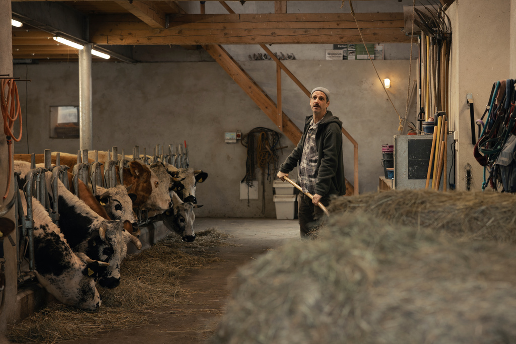 © ZDF und Linda Gschwentner